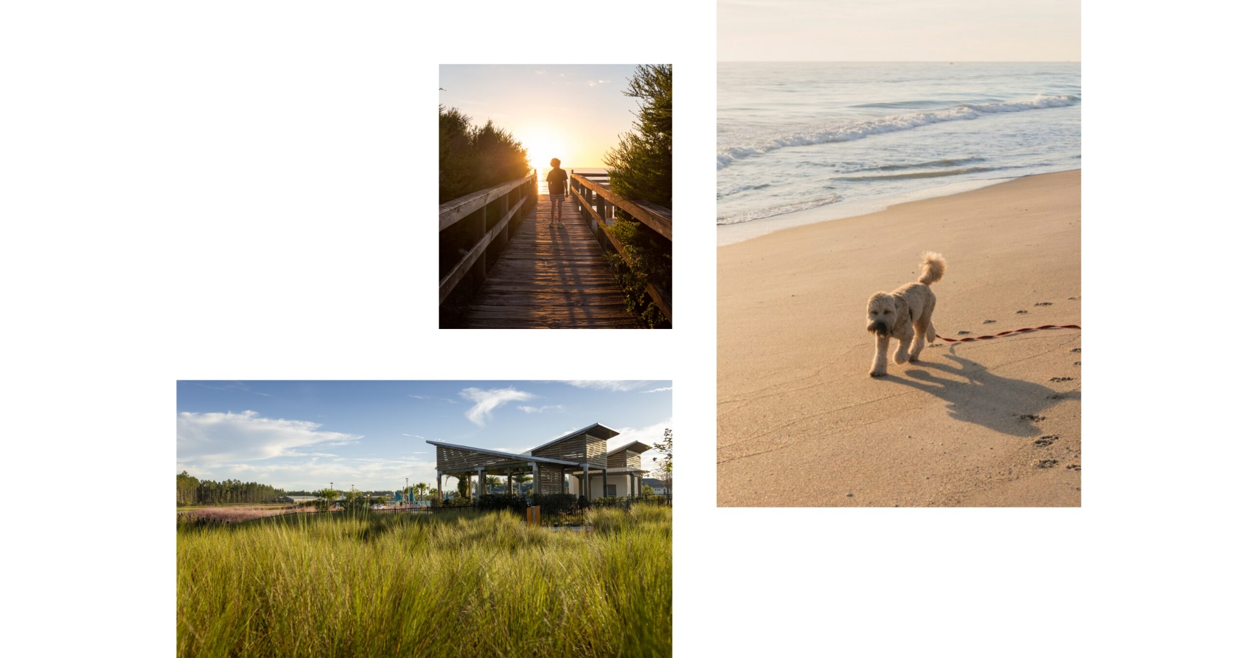 Event poster for "Tunes in the Twilight" by Wildlight, happening Sept 12, Oct 10, Nov 14 from 7-9 PM at 123 Tinker Street. Set in the heart of the Wildlight Yulee Florida community, featuring a sunset photo of a park.