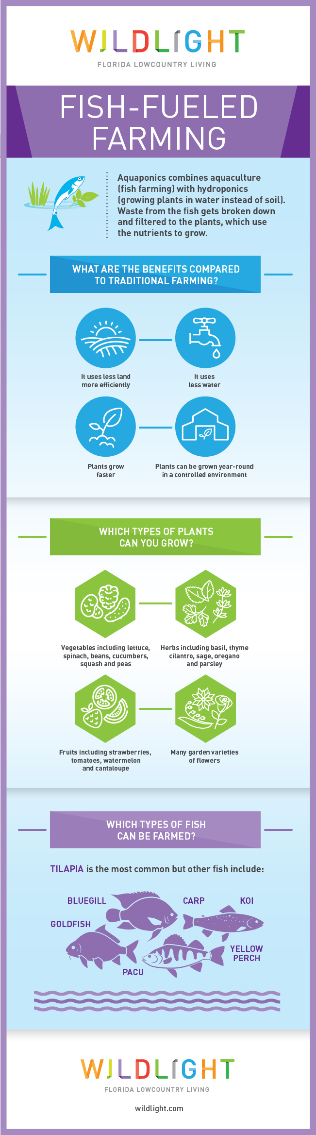 Three photos: a police officer with a dog, two women smiling outdoors, and three firefighters in front of a fire truck—showing the vibrant community spirit in homes in Nassau County Florida.