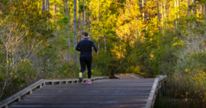 Wildlight, FL treelined trail with person out for a jog.