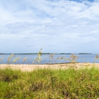 Beach grass with a beach and water behind it at Fort Clinch State Park