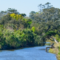 A blue creek surrounded by green trees at Egan Creek Greenway