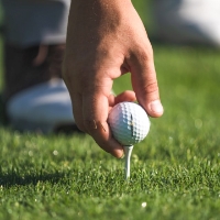 A close up of a person setting a golf ball on a tee at Long Point Golf Club