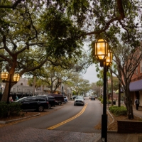 A historic road lined with trees and lamps in Fernandina Beach historic district