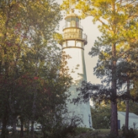 Amelia Island Lighthouse surrounded by trees