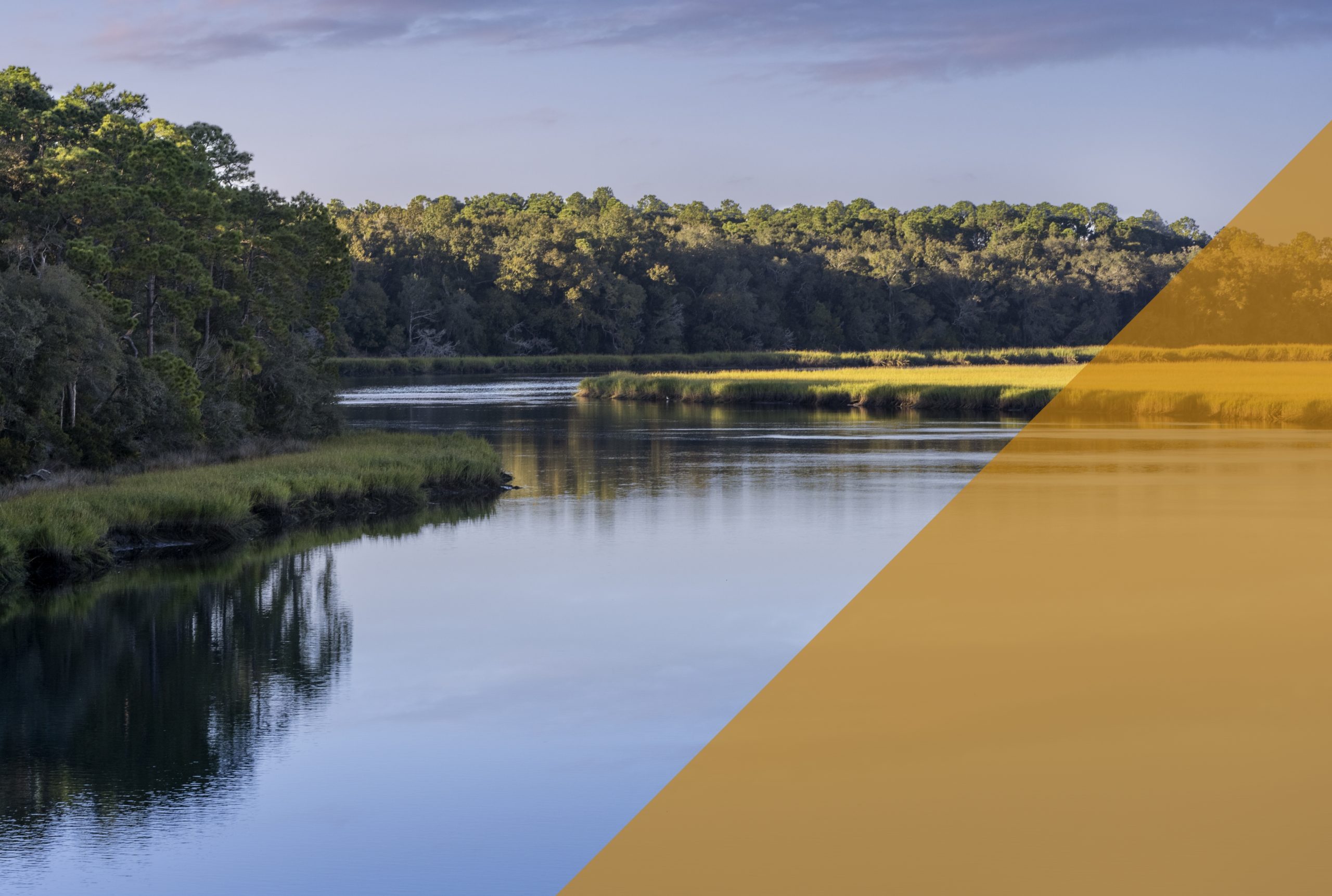 Pond surrounded by wooded area and open field.