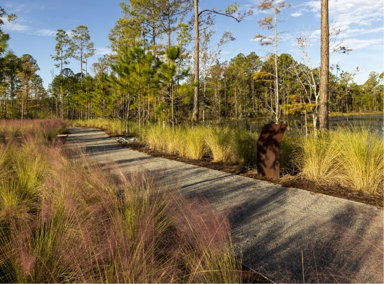 Paved trail in WIldlight surrounded by trees and tall grasses.