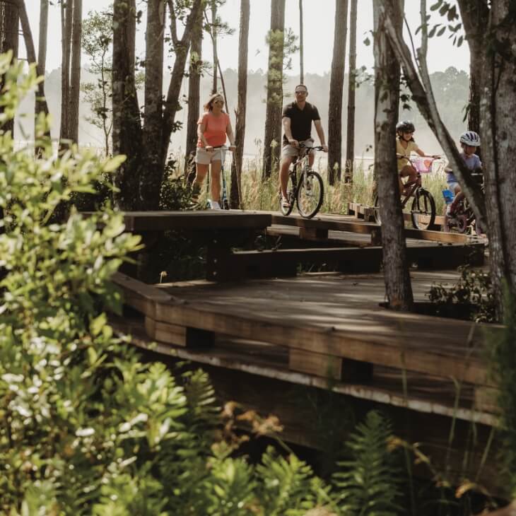A family riding on bicycles through the trees on the trails at Wildlight