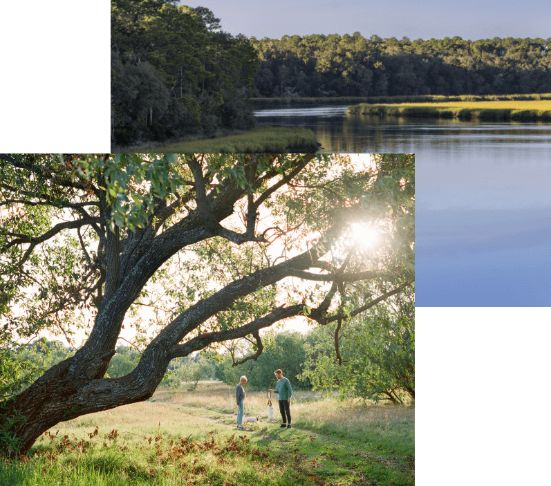 Lake surrounded by grass and trees in the distance.  Two people standing under a large tree, surrounded by green grass and woods.