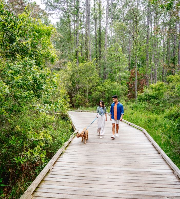 A man and woman walking their dog on a boardwalk in the woods.