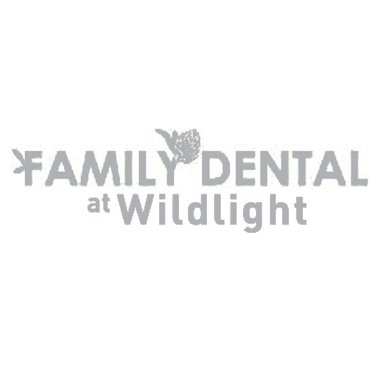 Family Dental at Wildlight