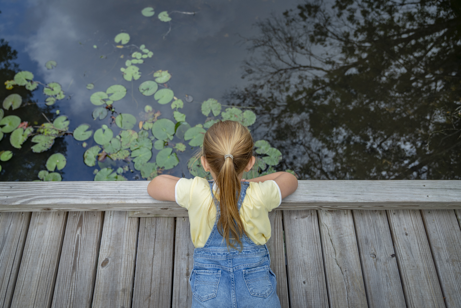 A little girl looking out over a pond filled with lilypads.