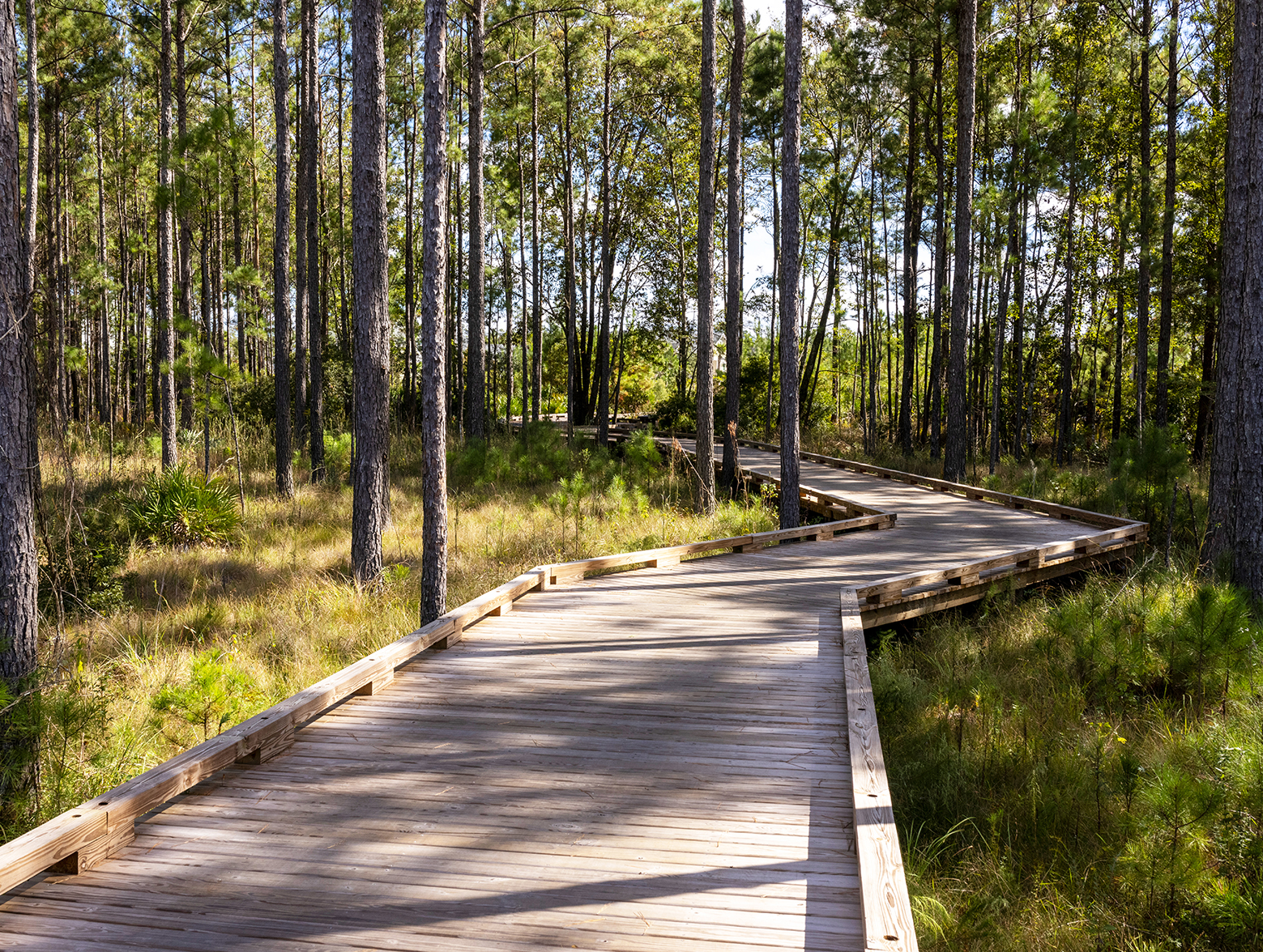 Picture of boardwalk going through nature area at Wildlight.