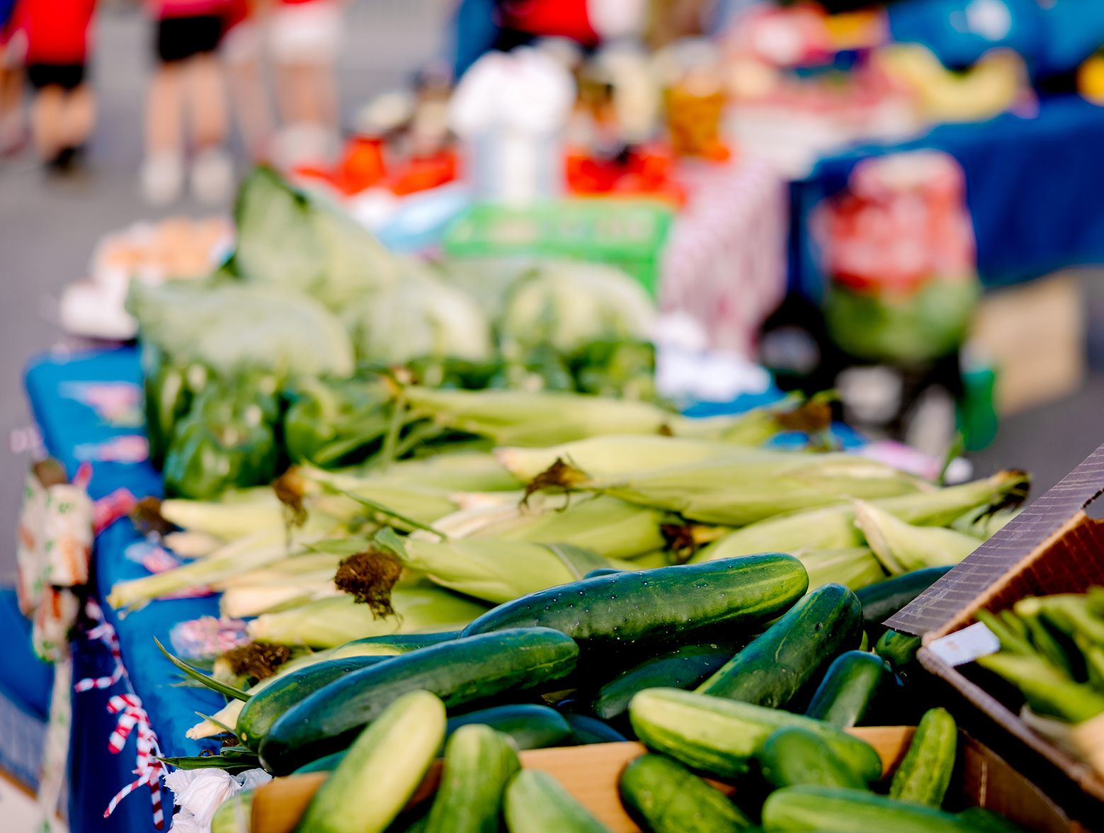 Corn and cucumbers on table at Wildlight Marketplace.