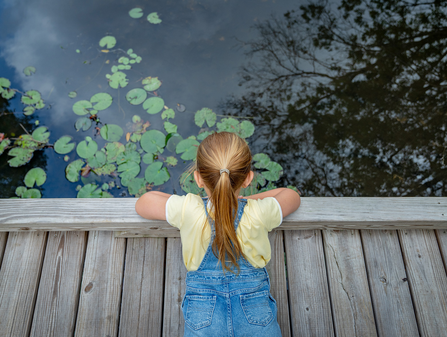 Young girl in overalls lays on boardwalk looking at lilypads.