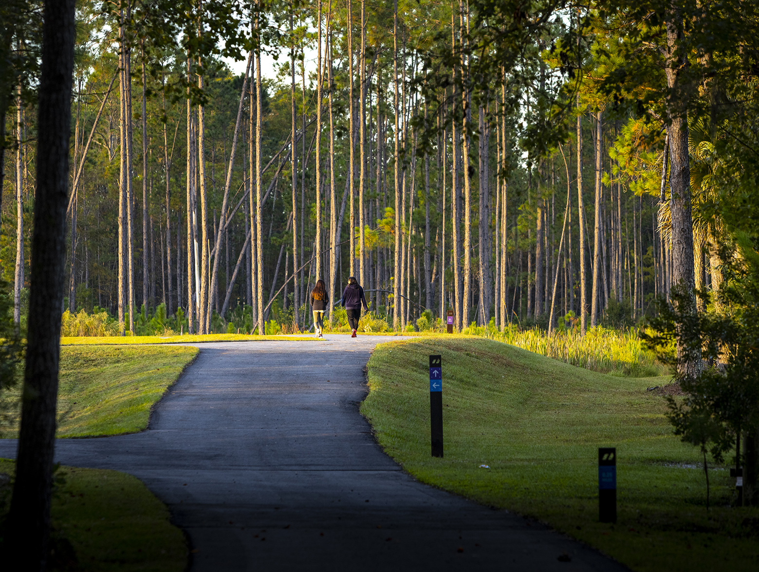 Two people walk down a nature trail in Wildlight.