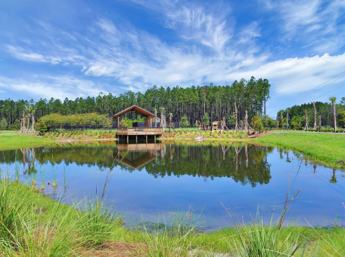 A small wooden pavilion sits on the edge of a pond in the Wildlight master planned community, surrounded by grass and trees, with blue sky and clouds reflected in the water.
