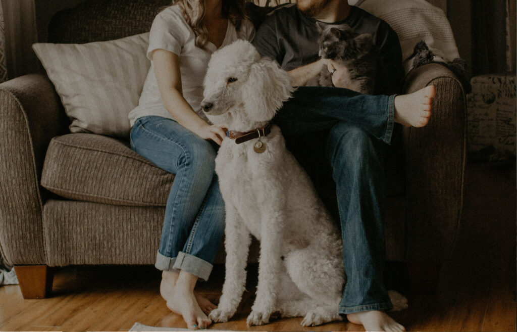 Two people sit on a couch with a white dog on the floor and a gray cat resting on one person's lap, enjoying the cozy comfort found in many homes in Nassau County, Florida.