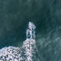 A person on a surfboard paddles through ocean water, viewed from above, capturing the adventurous spirit near new homes in Wildlight FL.