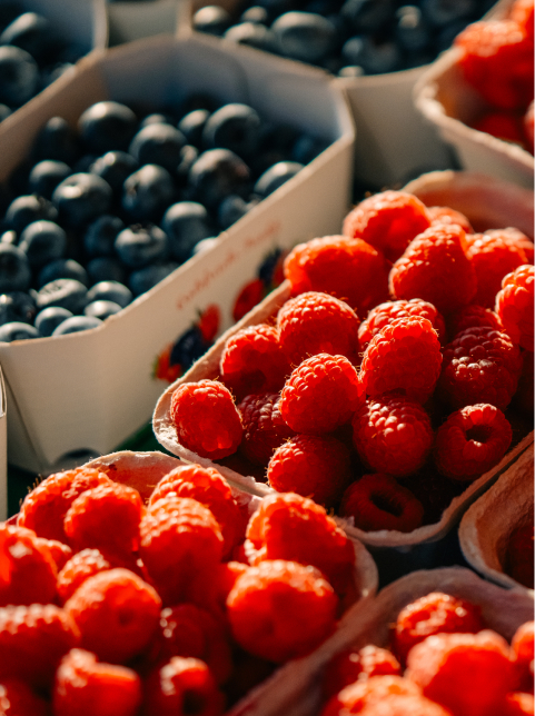Close-up of cardboard containers filled with fresh red raspberries and blueberries at a market, illuminated by sunlight in the vibrant Wildlight Yulee Florida community—a highlight for residents of this master planned community.