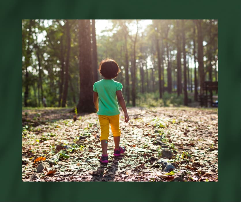 Child walking in the woods.