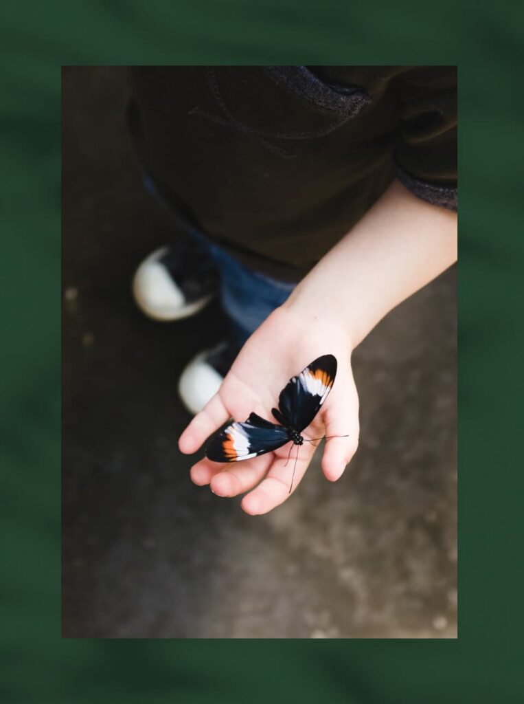A child holds a black butterfly with orange and white markings on its wings, standing on a concrete surface in the vibrant Wildlight Yulee Florida community.