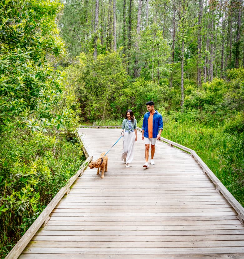 A couple walks a dog on a wooden boardwalk surrounded by lush greenery in the scenic Wildlight Yulee Florida community, a master planned community nestled in nature.