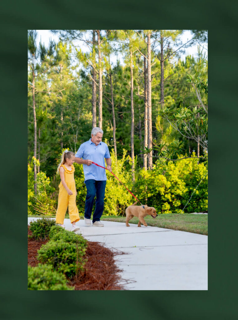 An older man and a young girl walk a small brown dog on a leash along a sidewalk in the scenic Wildlight Yulee Florida community, surrounded by trees in this inviting, master planned neighborhood.