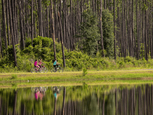 Two people ride bicycles on a grassy path beside a calm lake, surrounded by tall trees and dense greenery in the heart of the Wildlight master planned community.