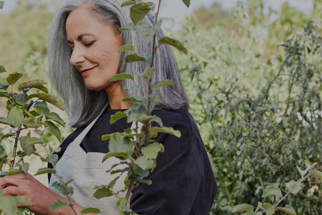 Garden district woman picking berries from a vine