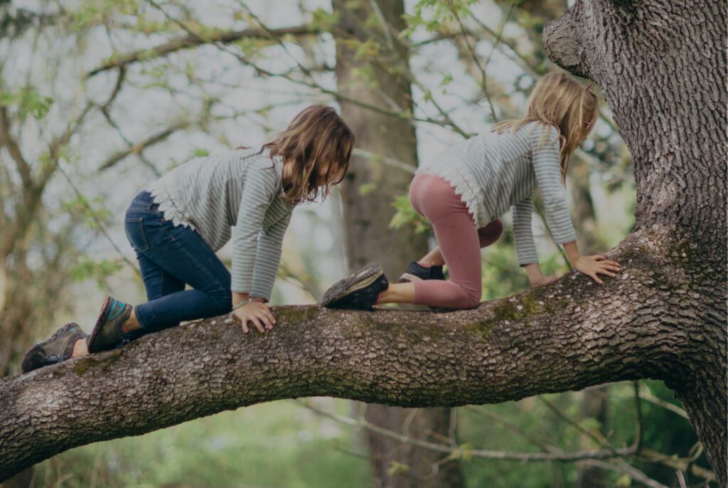 Two girls climbing a tree branch