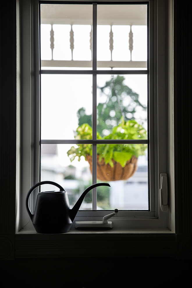 A black watering can sits on a windowsill indoors, with a green hanging plant visible outside through the window—capturing the natural charm found in new homes in Wildlight FL.