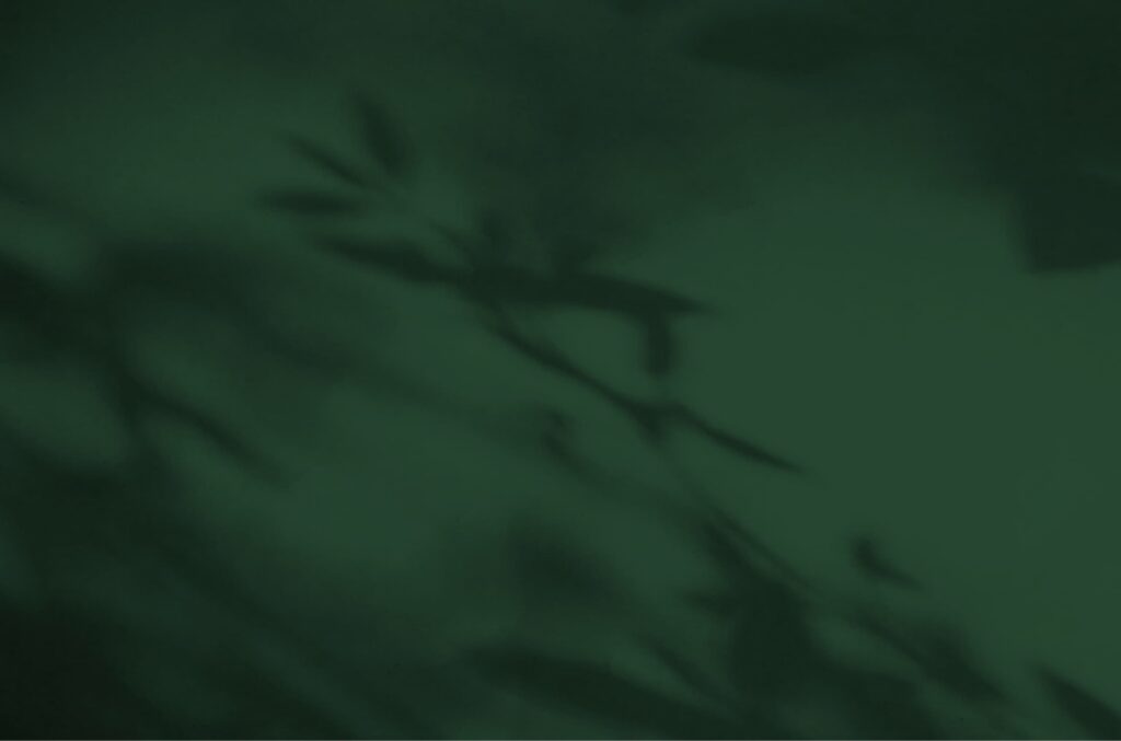 Blurry, dark green image showing the shadow of plant leaves against a softly lit background, capturing the tranquil ambiance of homes in Nassau County Florida within the Wildlight master planned community.