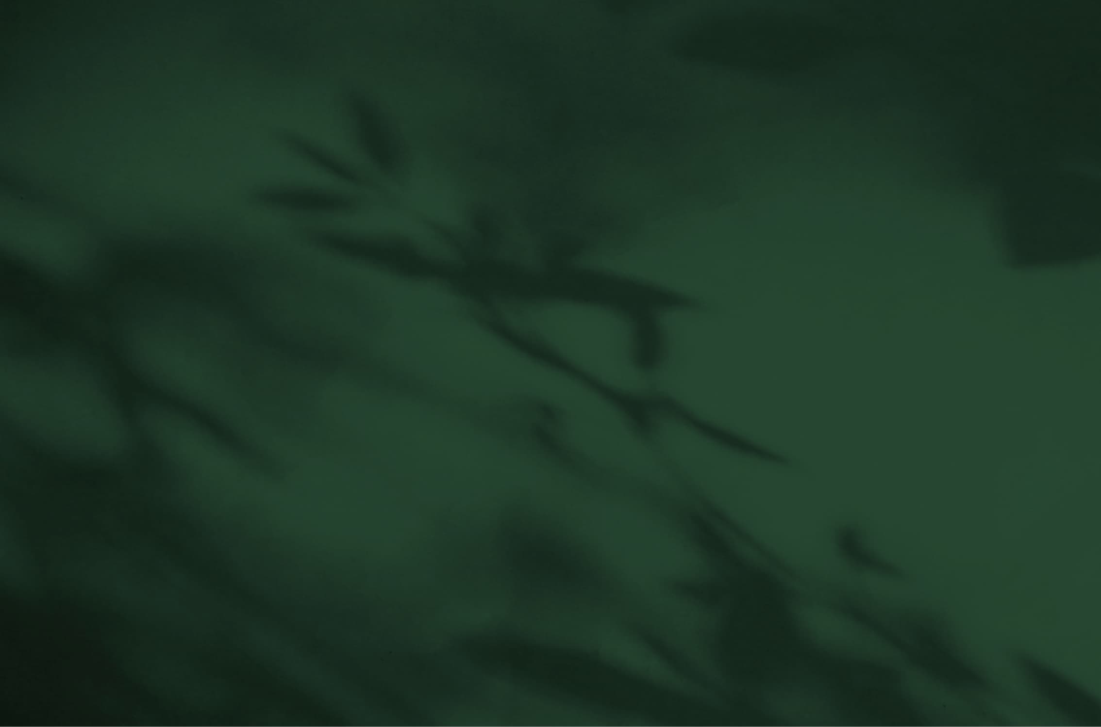 Blurry, dark green image showing the shadow of plant leaves against a softly lit background, capturing the tranquil ambiance of homes in Nassau County Florida within the Wildlight master planned community.