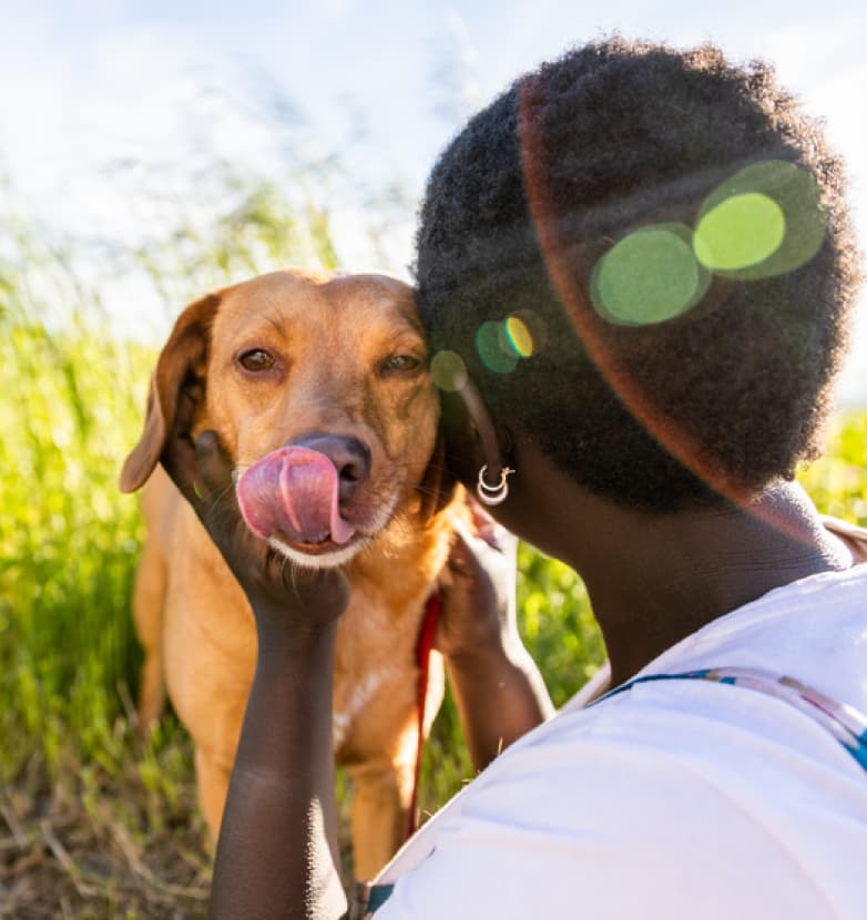 Woman hugging a dog