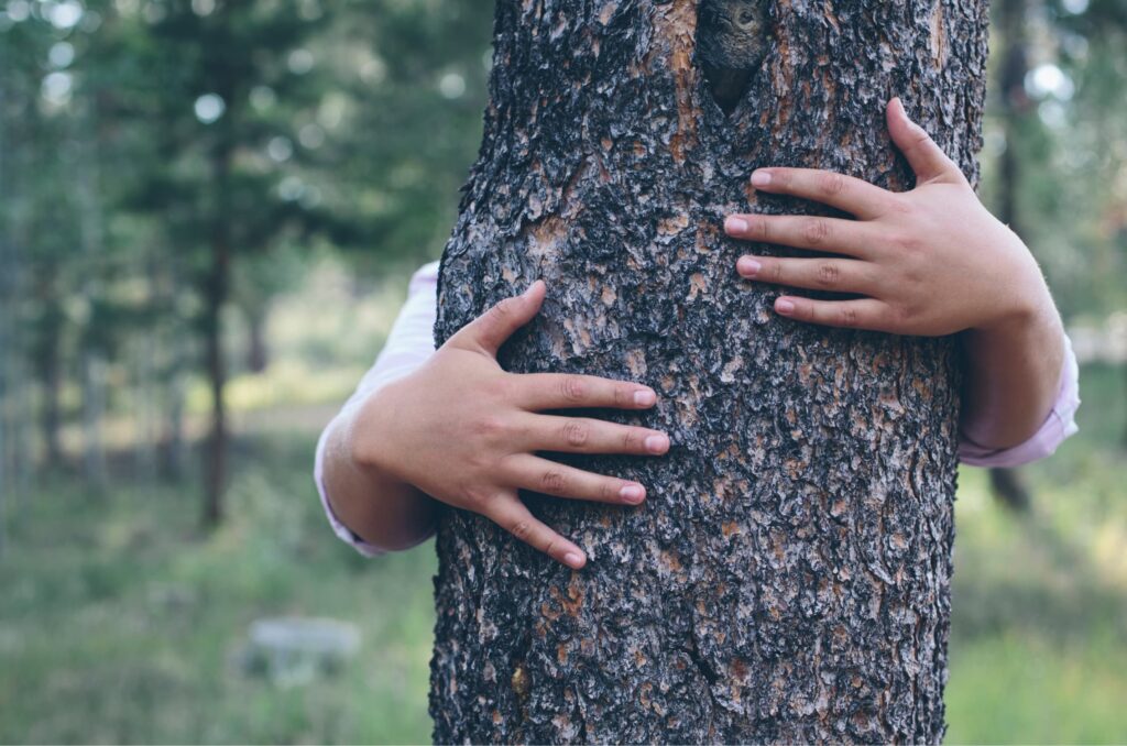 Child hands hugging a tree trunk