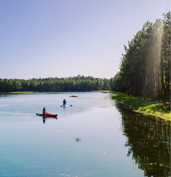 Three people are kayaking on a calm lake surrounded by pine trees under a clear blue sky in the beautiful Wildlight Yulee Florida community.