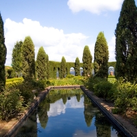 Rectangular reflecting pool surrounded by tall, narrow trees and green shrubs under a blue sky with clouds in the scenic Wildlight master planned community.