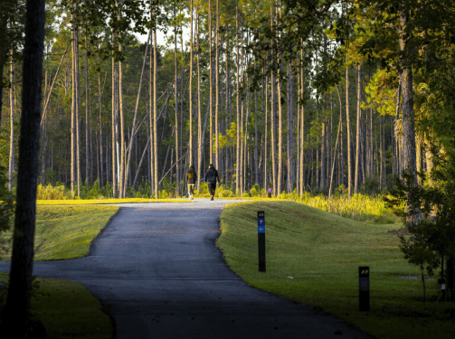 Two people walk along a paved trail through a wooded area in Wildlight Florida, surrounded by tall, thin trees and green grass—capturing the natural beauty of the Wildlight master planned community.