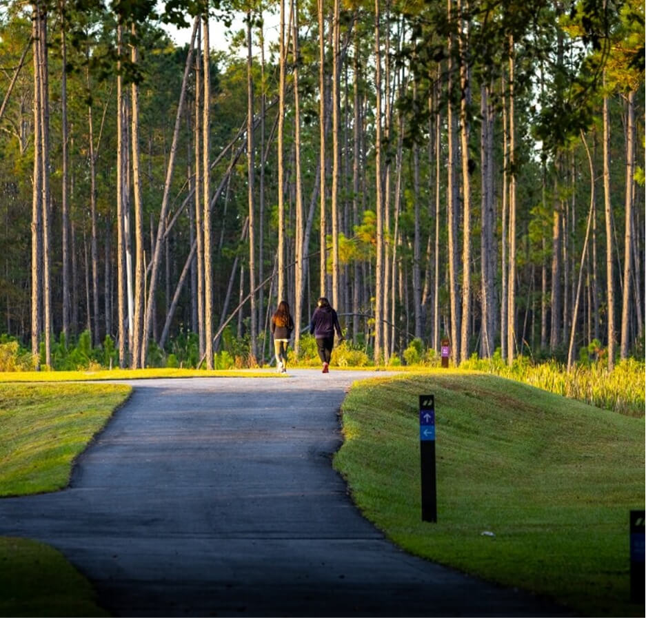 Two people walk on a paved path through a grassy area, surrounded by tall, thin trees in a forested park within the Wildlight Yulee Florida community.