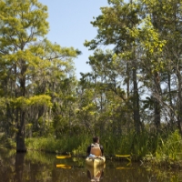 A person kayaks alone on a calm, narrow waterway surrounded by tall trees and dense greenery in the Wildlight Yulee Florida community under a clear blue sky.
