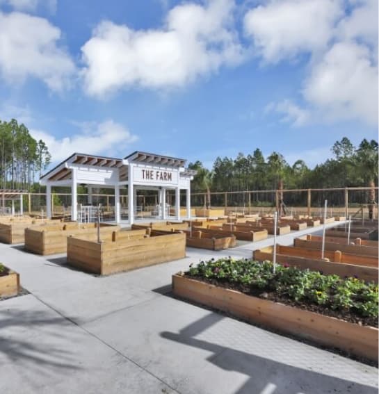 Wildlight homes town district community garden