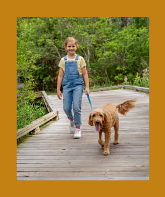 Girl walking her dog over a wooden bridge
