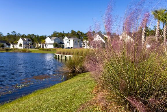 Homes alongside a river