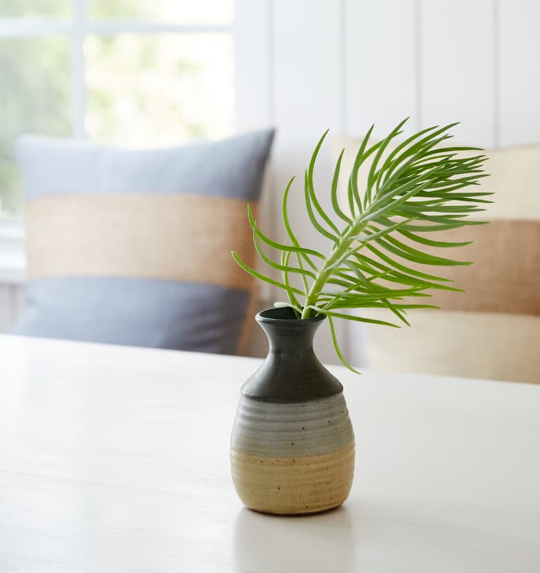 Branch in vase on coffee table