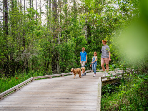 A woman and two children walk a dog on a wooden boardwalk surrounded by dense green trees in the Wildlight Yulee Florida community, where families enjoy nature near new homes in Nassau County, Florida.