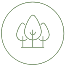 Minimalist green line drawing of three trees inside a circle on a light background, inspired by the natural beauty of the Wildlight Florida master planned community.