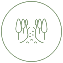 Simple line drawing of a path winding through trees, enclosed in a green circle on a light background—reflecting the natural beauty found in the Wildlight Yulee Florida community.