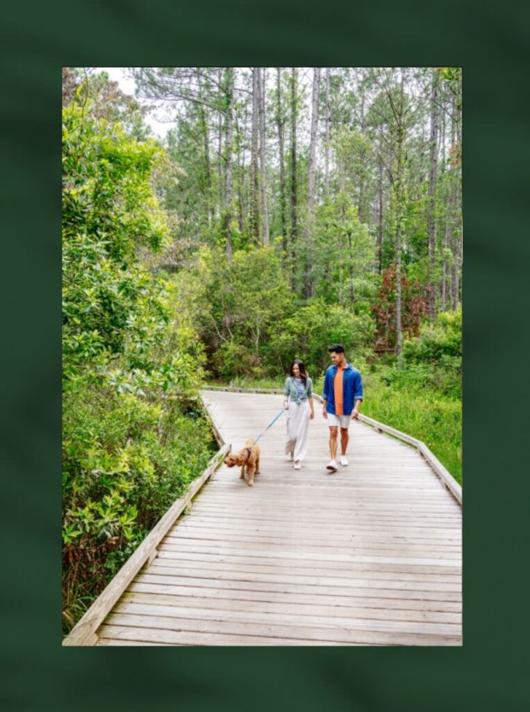 Two people walk a dog along a wooden boardwalk surrounded by lush trees in Wildlight Florida, enjoying the serene nature that defines this vibrant master planned community in Nassau County.
