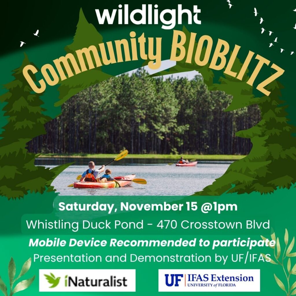 Event flyer for "wildlight Community Bioblitz" at Whistling Duck Pond in the Wildlight Yulee Florida community, featuring people kayaking; join us Saturday, November 15 for UF/IFAS Extension presentations and outdoor exploration.