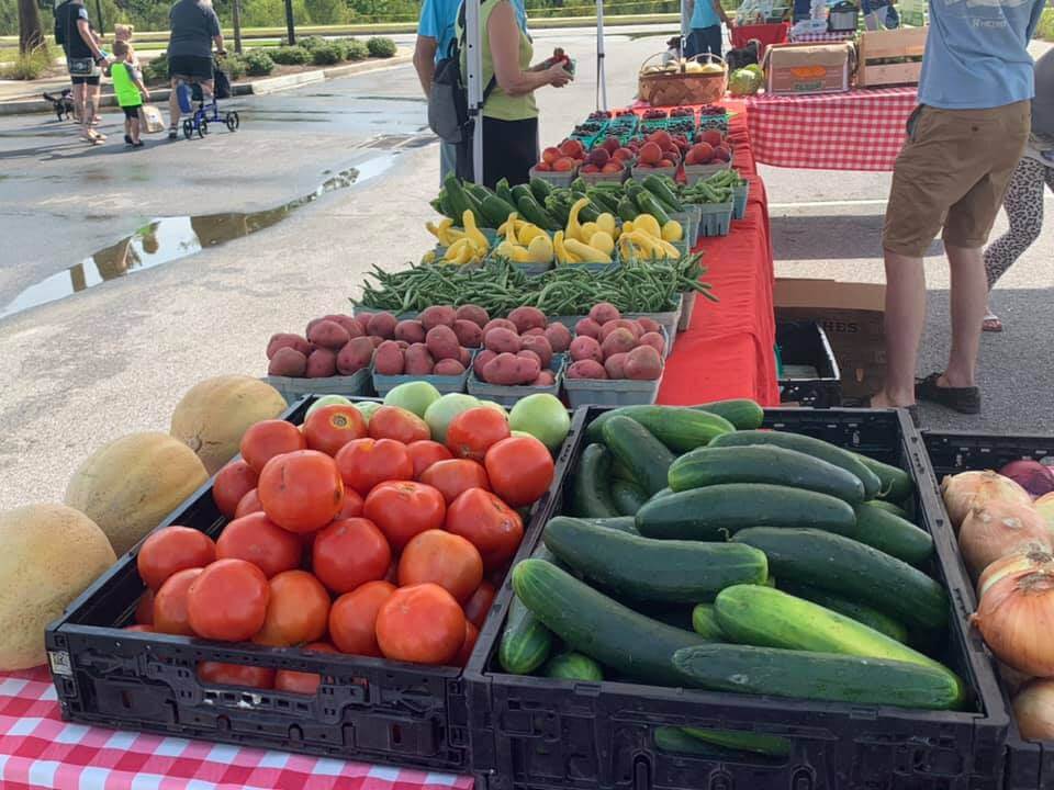 Fresh vegetables and fruits, including tomatoes, cucumbers, potatoes, squash, beans, and melons, are displayed on tables at an outdoor farmers market in the heart of the Wildlight Yulee Florida community.